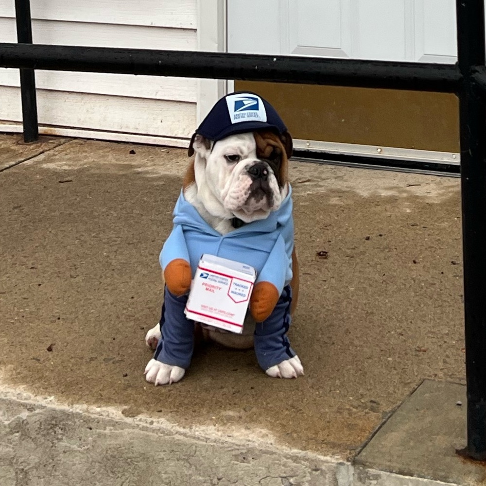 Extra Shipping Label